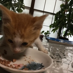 「家族になって2日目♪」サムネイル2