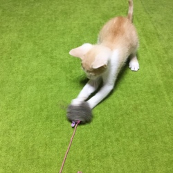 「家族になって2日目♪」サムネイル3