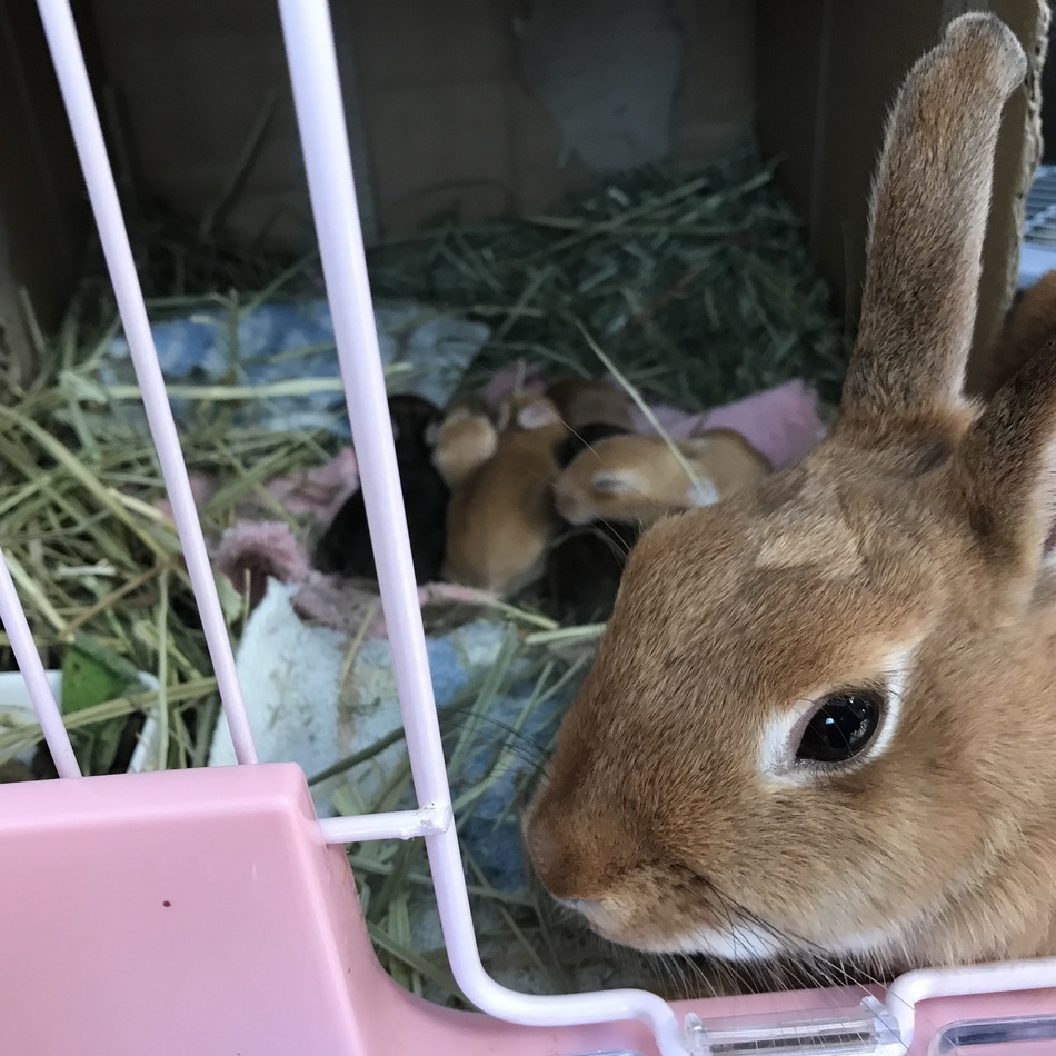 ちっぷのカバー写真