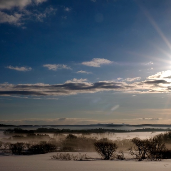 ヒッキーとマロのカバー写真