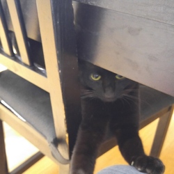 「ワクチン接種」サムネイル2