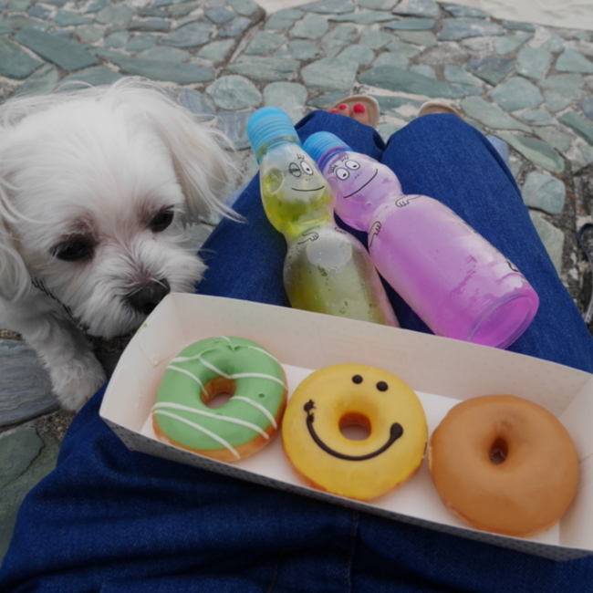 Mana Sophiaのカバー写真