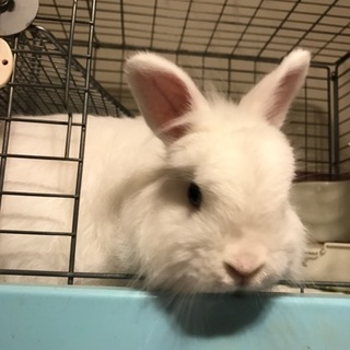 ありがとうございました。