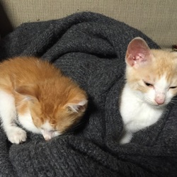 「仲良し」サムネイル2