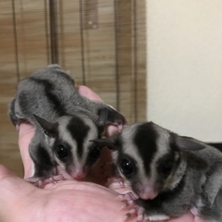 沢山の応募ありがとうございました！