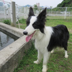 あと３日となりました。