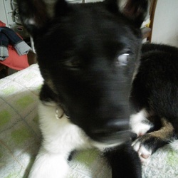 「白目の魔術師」サムネイル2