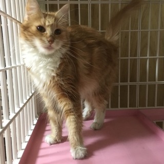 アキラママ さん お迎え