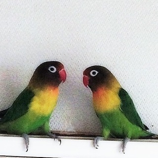 沢山の応募ありがとうございました。