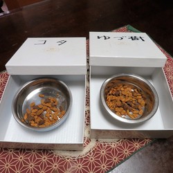 「これは別々なのです」サムネイル2