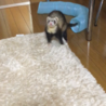 交渉中 サムネイル4