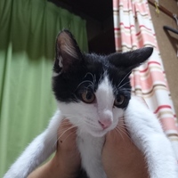 あさひ