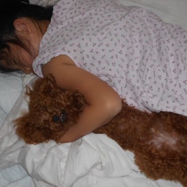 次女と野獣！爆睡中(˘ω˘)