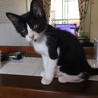 元気な片目の男の子☆