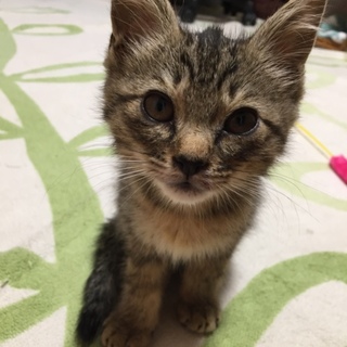 スリスリ・ゴロゴロ可愛い男の子♡