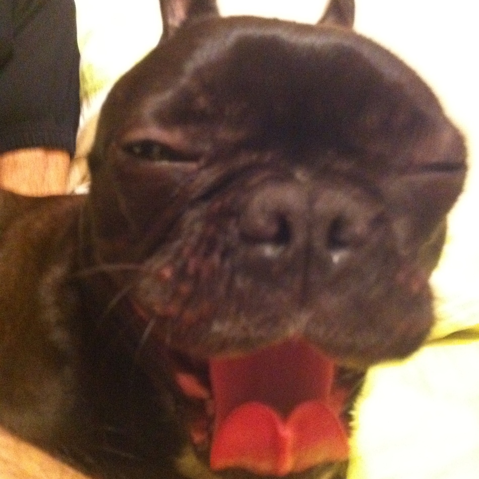 櫻子のカバー写真