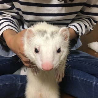 たくさんの応募ありがとうございます