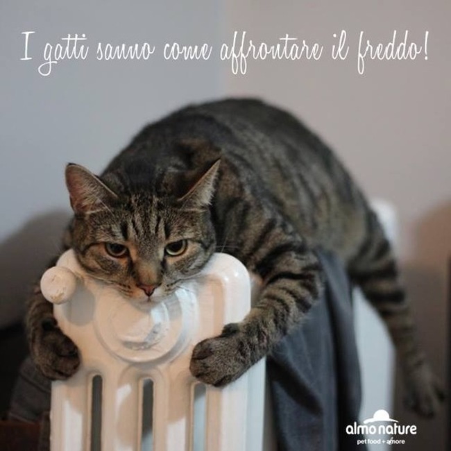 ミ〜のカバー写真