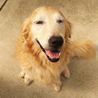 応募していただきありがとうございました。