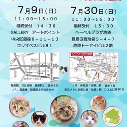 7月9日(日)第13回★ミャオ!ねこのおうち譲渡会★銀座8丁目会場