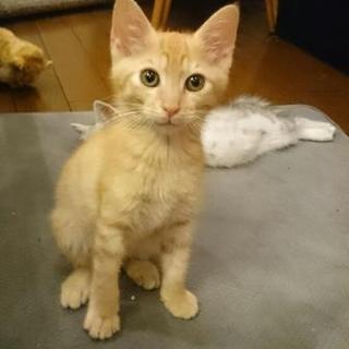 7/2 馬喰町会場☆ぽこくん