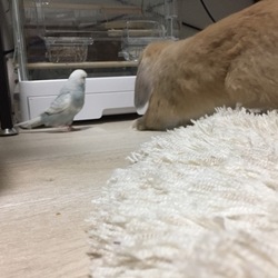 「※虐待ではないです。」サムネイル2