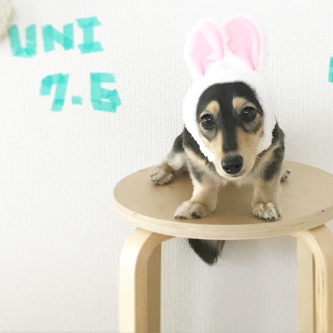 Karinmorin のカバー写真