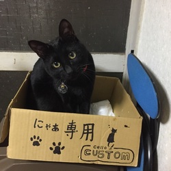 「nohana」サムネイル3