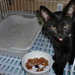 一年経ちました