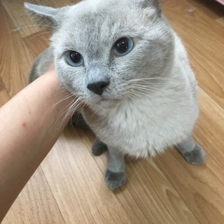 pugu さん お迎え