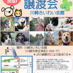 RADAC 定例犬猫譲渡会 (in神奈川県川崎市)