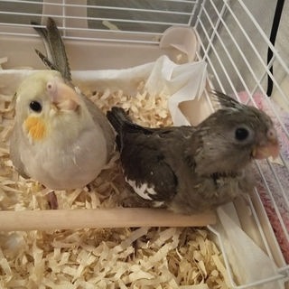 みなさま、ご応募ありがとうございました！