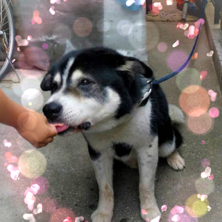 ☆大きな、くーちゃん☆