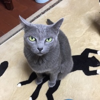りん
