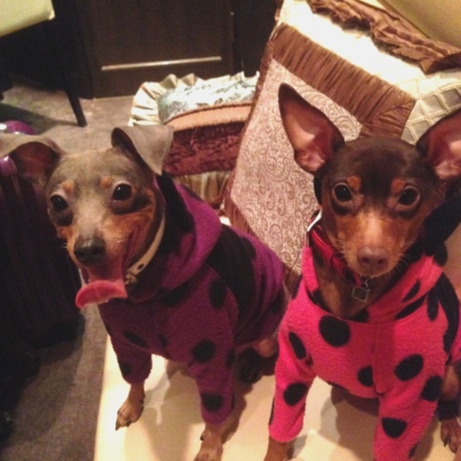 mai7112kのカバー写真