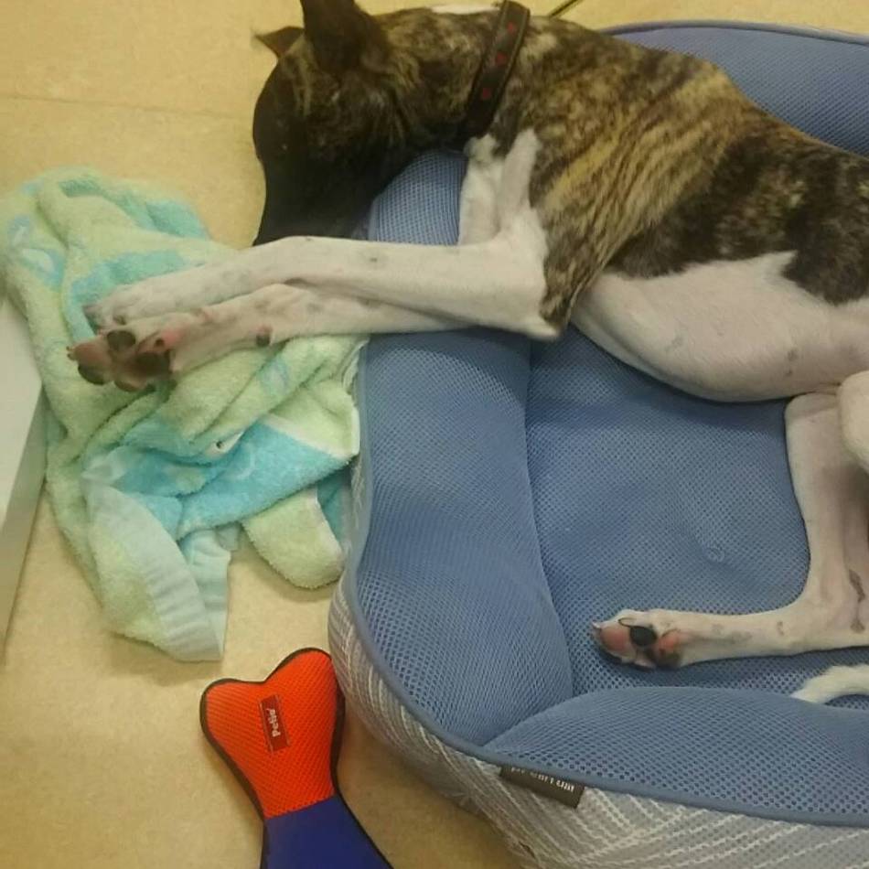 ニックのカバー写真