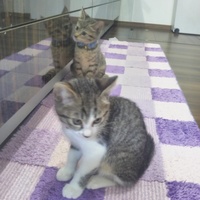 いっくん♂　まるちゃん♀