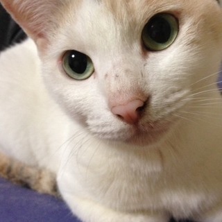 貰ってください！！