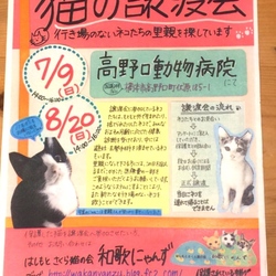 猫の譲渡会♡はしもとさくら猫の会 和歌にゃんず