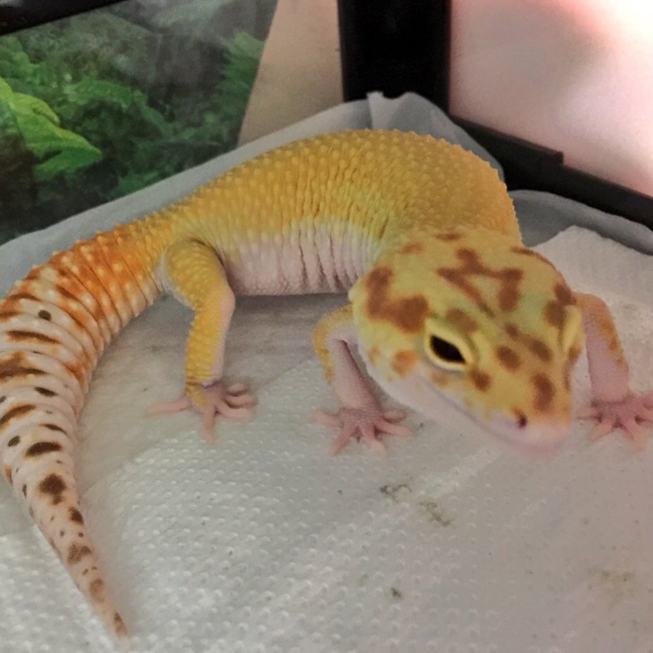 じんじんのカバー写真