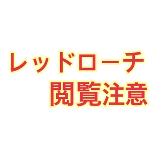 レッドローチ 近畿圏内限定。