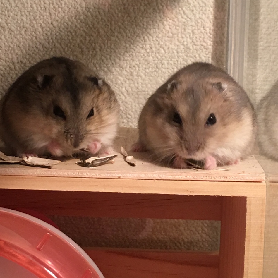 そらのカバー写真