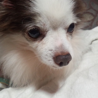 今後こそ幸せになってほしい雫君