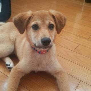 Mix　(仮名)らん