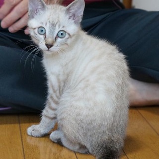 おしゃめなクララ