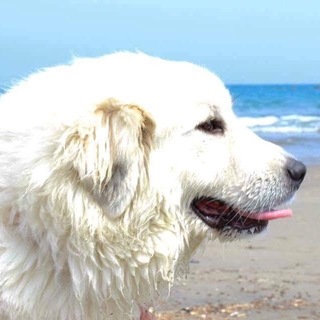 皆さん応募ありがとうございました。決まりました。