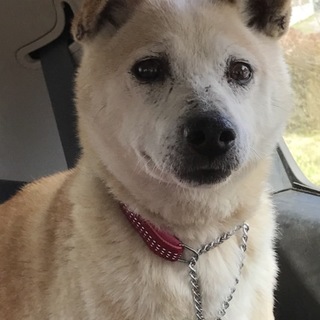 まったりキュートな男の子