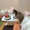 16歳お誕生日