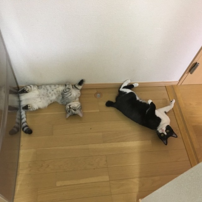 なおこ□のカバー写真