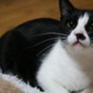 元気ハツラツ　さんまくん